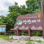 Anbandegi Village: Korea's Mountain Cabbage Farm