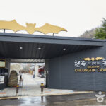 Cheongok Golden Bat Cave Guide