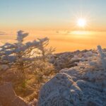 Hallasan Mountain: A Local's Guide to Jeju
