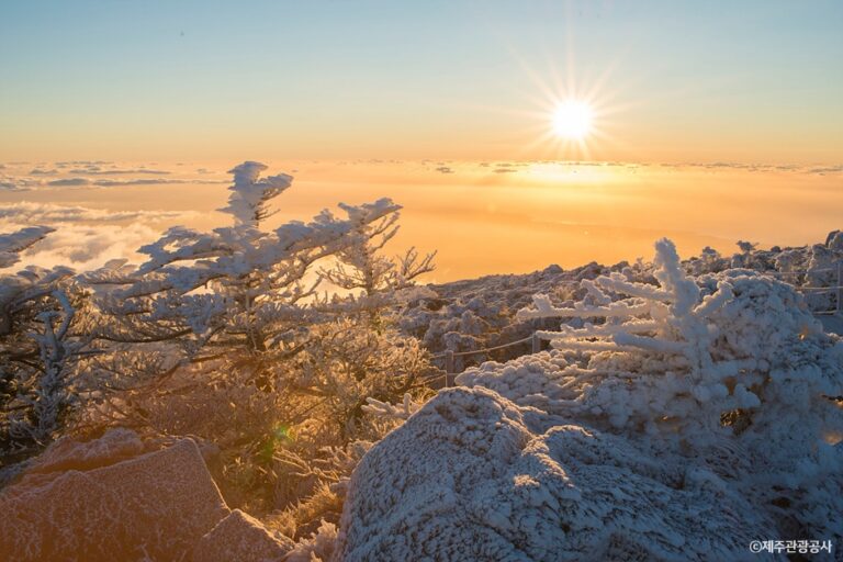 Hallasan Mountain (한라산)