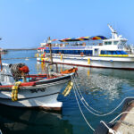 Guide to Hallim Port in Jeju