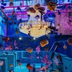 Waterworld Jeju: Local Guide to Media Park